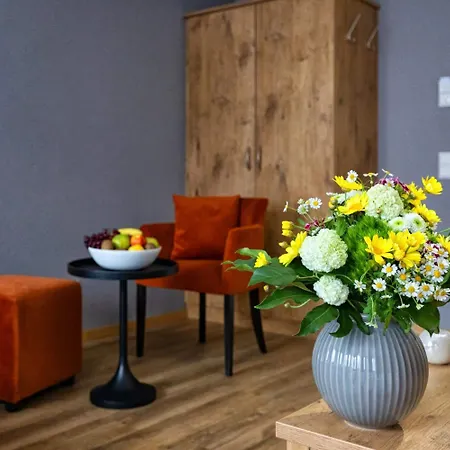 La Mirabelle Close To Europa Park ホテル 3*