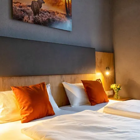 Hotel La Mirabelle Close To Europa Park